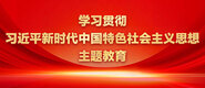 老太太、插比小视频学习贯彻习近平新时代中国特色社会主义思想主题教育_fororder_ad-371X160(2)